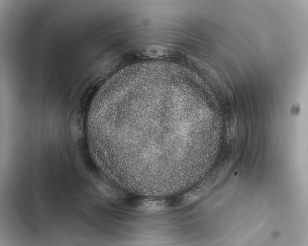 X0000102360606200808151814