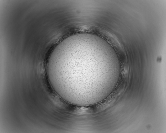 X0000102360607200808151814