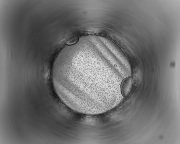 X0000102360608200808151814