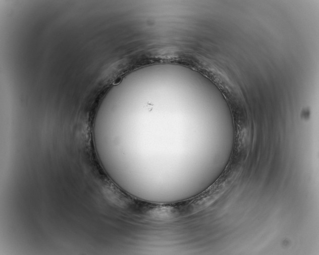 X0000102360609200808151814