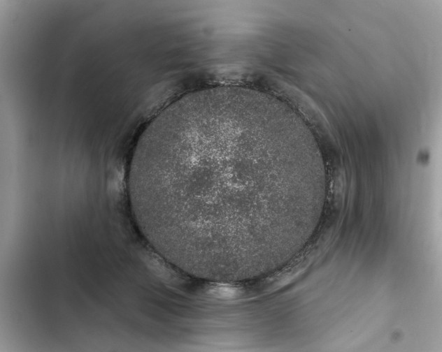 X0000102360610200808151814