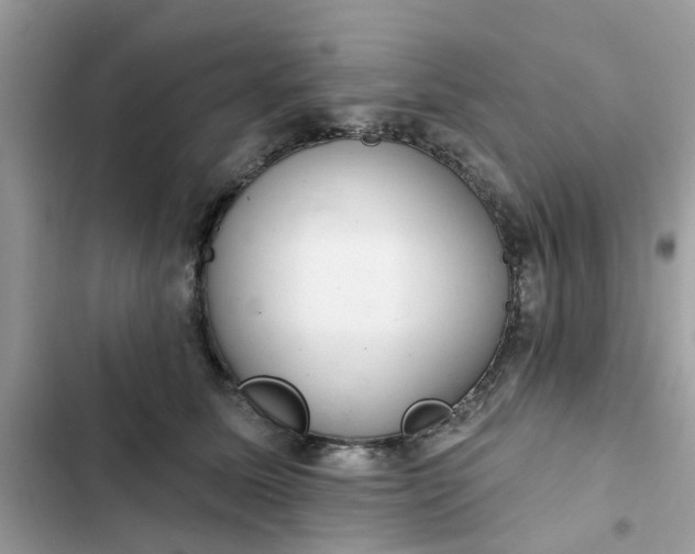 X0000102360611200808151814