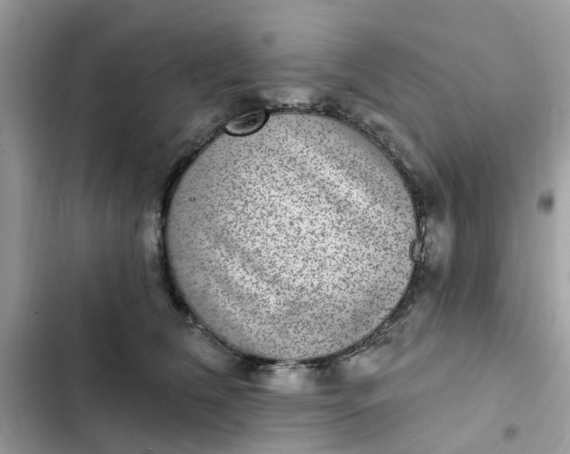 X0000102360612200808151814