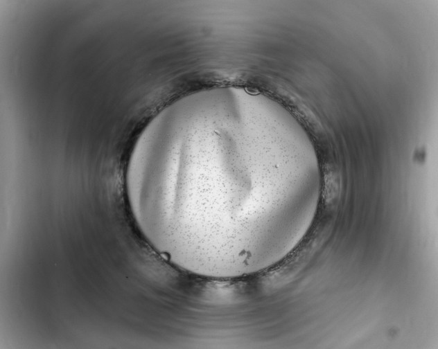 X0000102360613200808151814