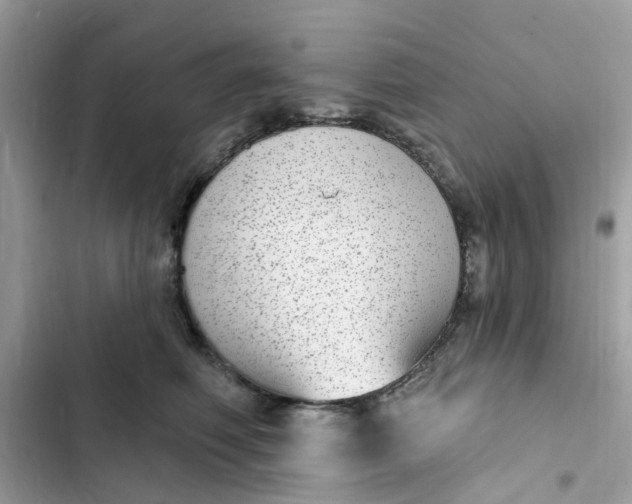 X0000102360614200808151814