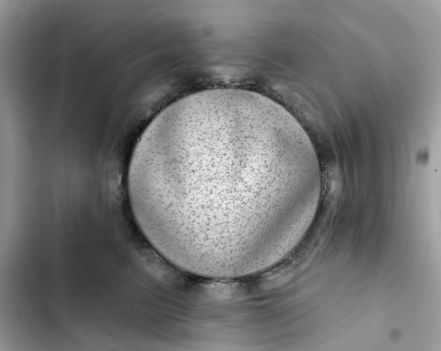 X0000102360615200808151814