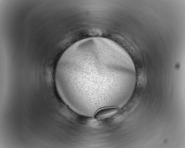 X0000102360616200808151814