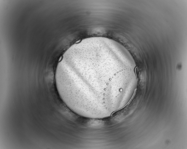 X0000102360617200808151814