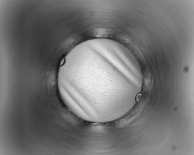 X0000102360620200808151814