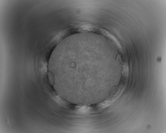 X0000102360621200808151814