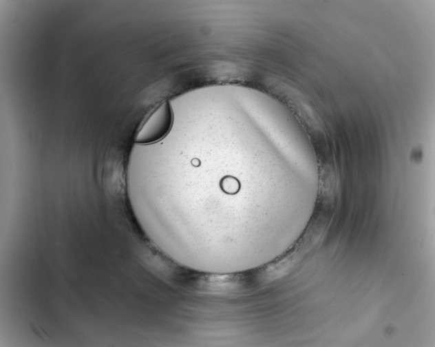 X0000102360622200808151814