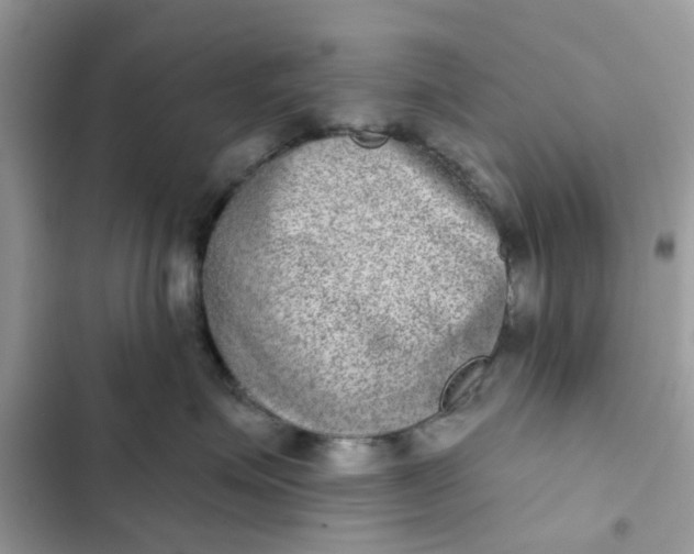 X0000102360623200808151814