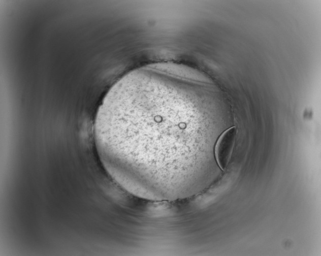 X0000102360624200808151814