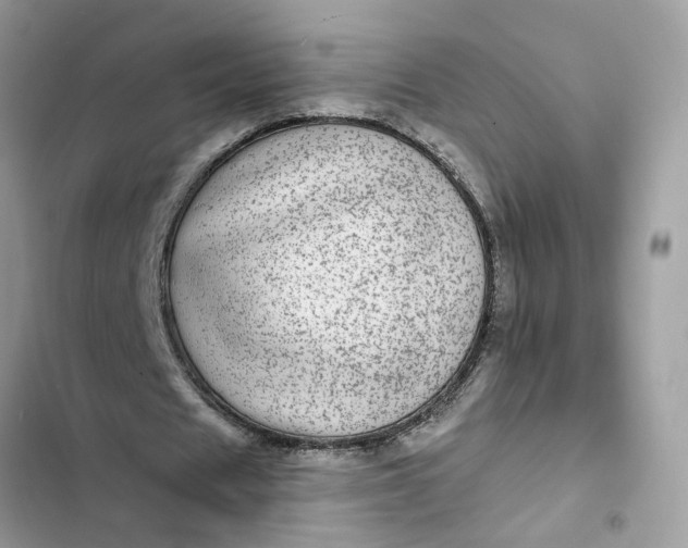 X0000102360625200808151813