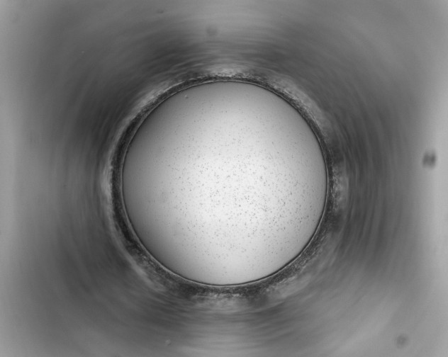 X0000102360626200808151813