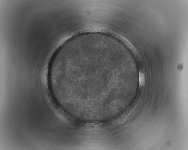 X0000102360627200808151813