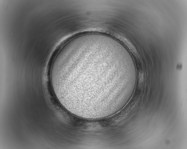 X0000102360628200808151813