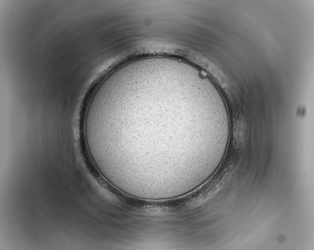 X0000102360629200808151813