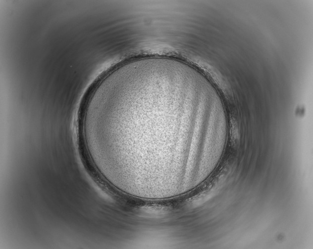 X0000102360630200808151813