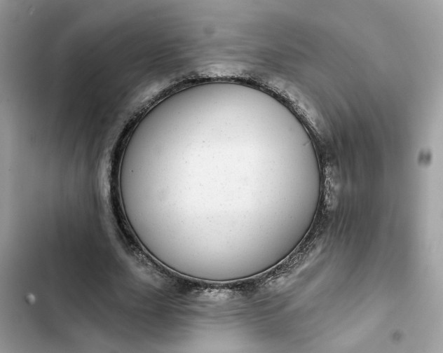 X0000102360631200808151813