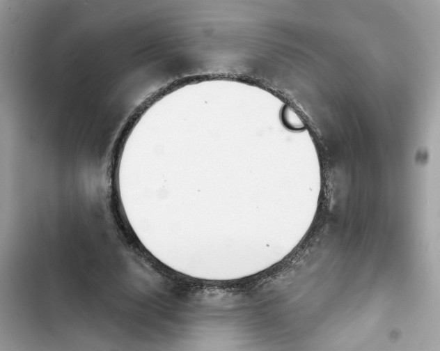 X0000102360632200808151813