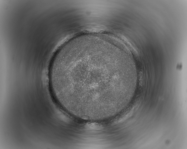 X0000102360634200808151813