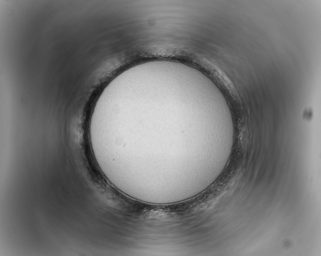 X0000102360635200808151814