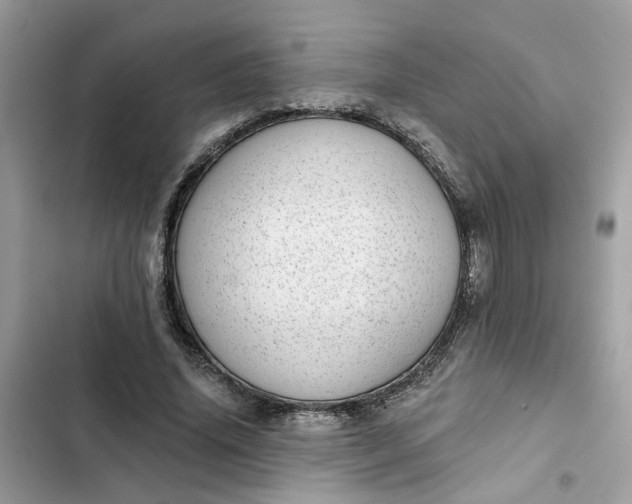 X0000102360636200808151814