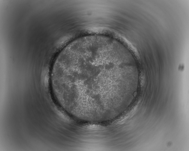 X0000102360637200808151814