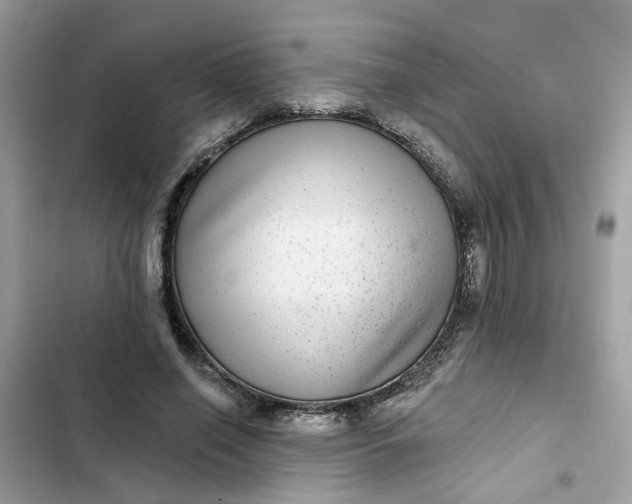 X0000102360638200808151814