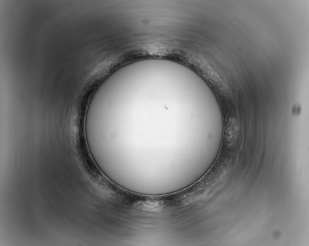 X0000102360639200808151814