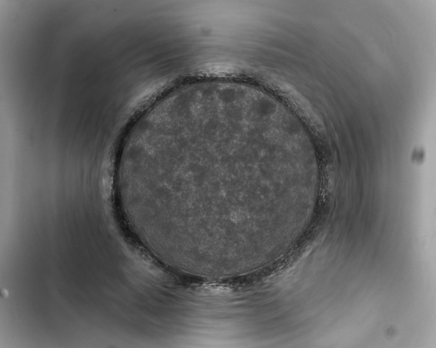 X0000102360640200808151814