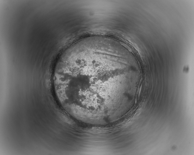 X0000102360641200808151814