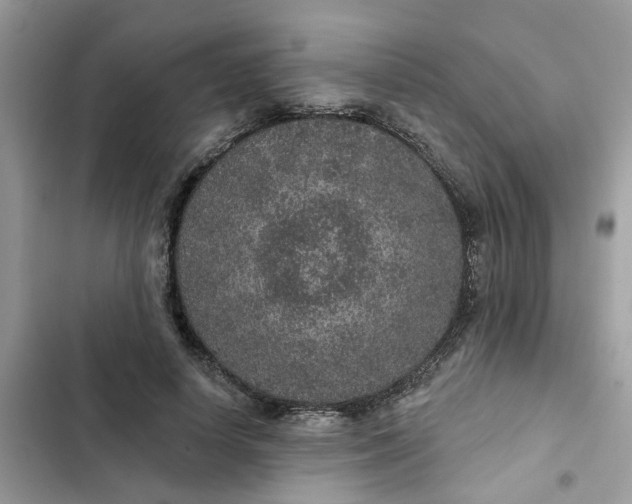 X0000102360642200808151814