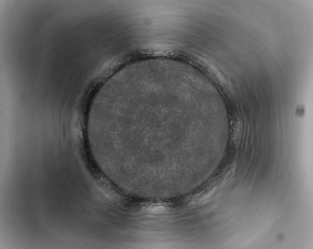 X0000102360643200808151814