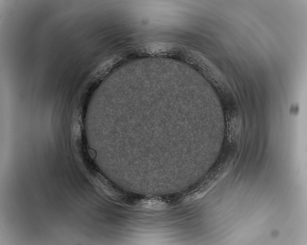 X0000102360644200808151814