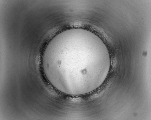 X0000102360645200808151814