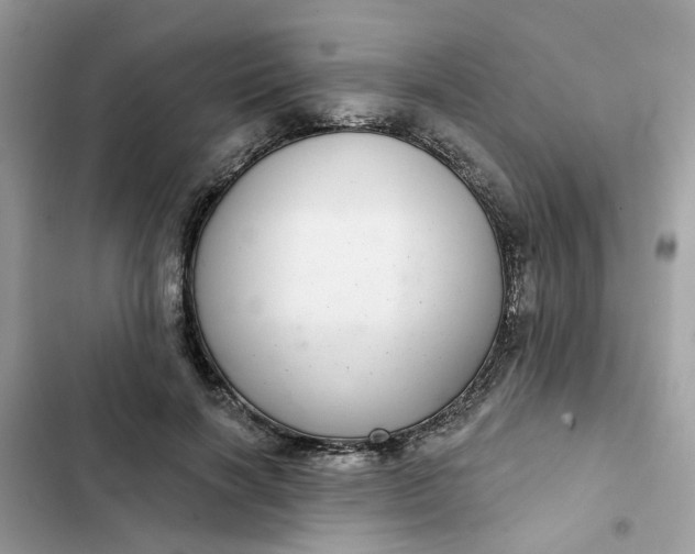 X0000102360646200808151814