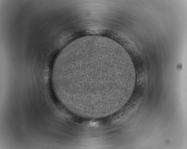 X0000102360647200808151814