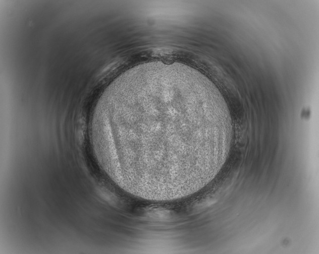 X0000102360648200808151814