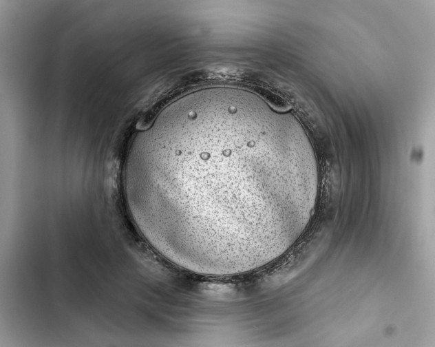 X0000102360649200808151814