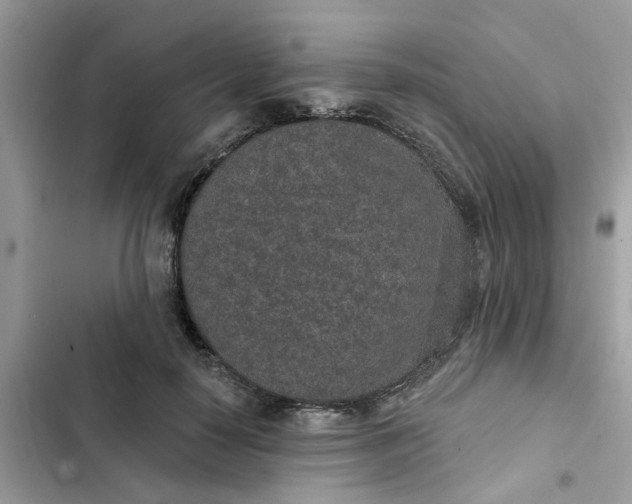 X0000102360650200808151814