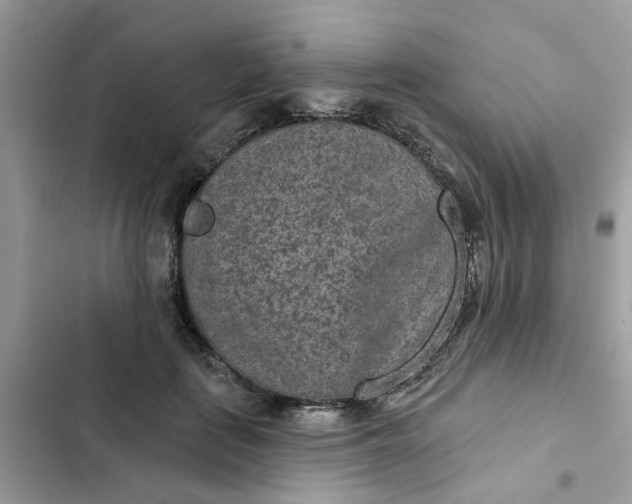 X0000102360651200808151814