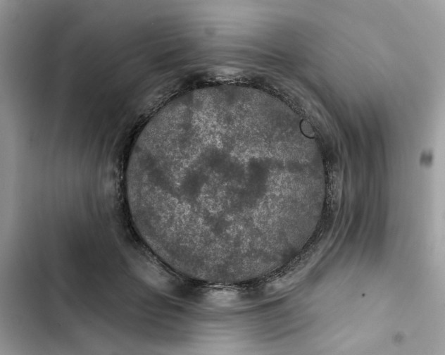 X0000102360653200808151814