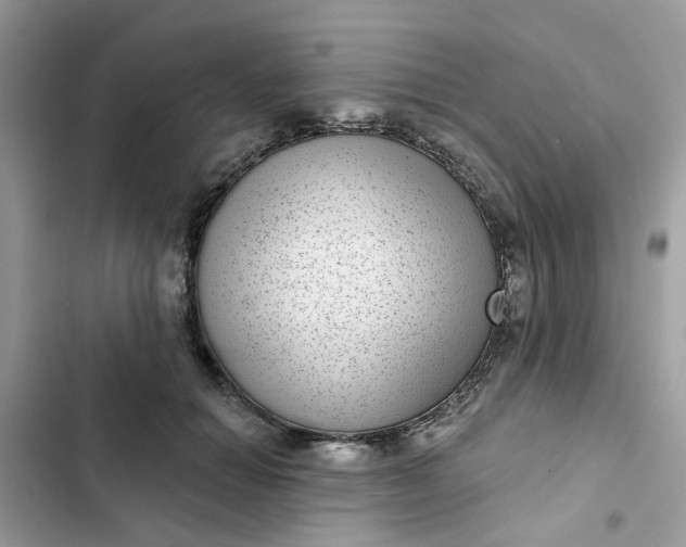 X0000102360654200808151814