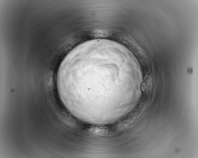 X0000102360655200808151814