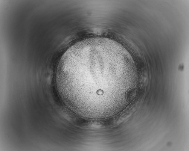 X0000102360656200808151814