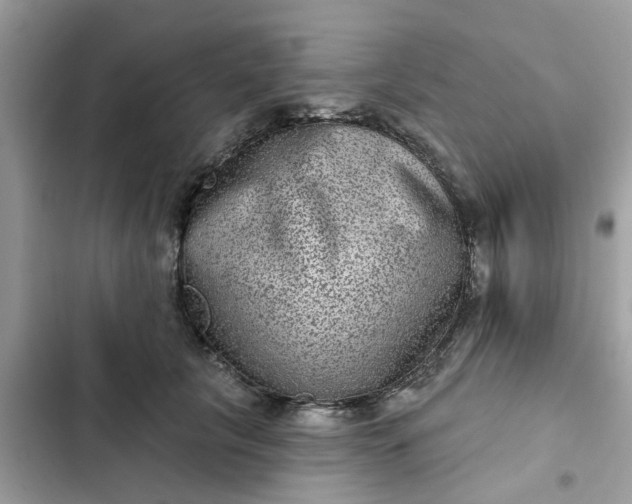 X0000102360657200808151814