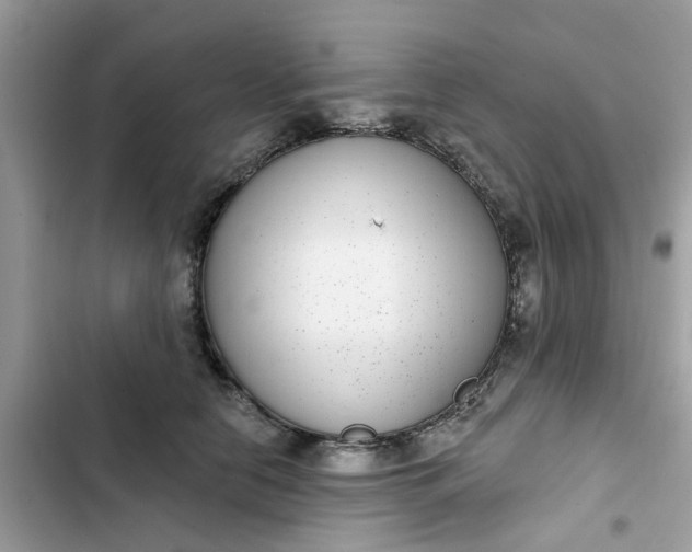 X0000102360658200808151814