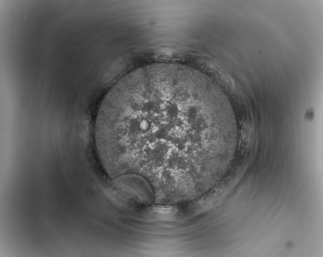 X0000102360659200808151814